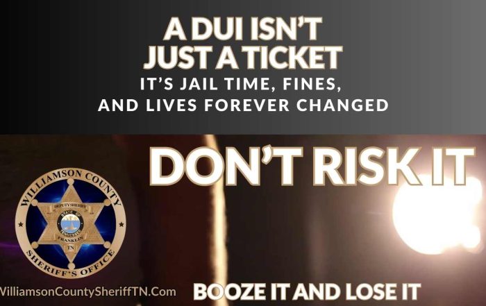 Drive Hammered - Booze IT