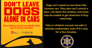 Yellow background with red letters that read "Don't Leave Dogs Alone In Cars" with a picture of a black silouette of a car with a dog inside.