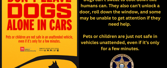 Yellow background with red letters that read "Don't Leave Dogs Alone In Cars" with a picture of a black silouette of a car with a dog inside.