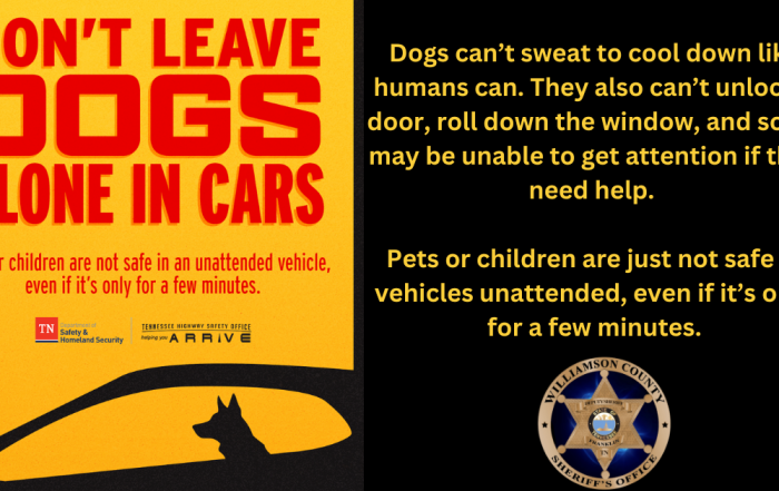 Yellow background with red letters that read "Don't Leave Dogs Alone In Cars" with a picture of a black silouette of a car with a dog inside.