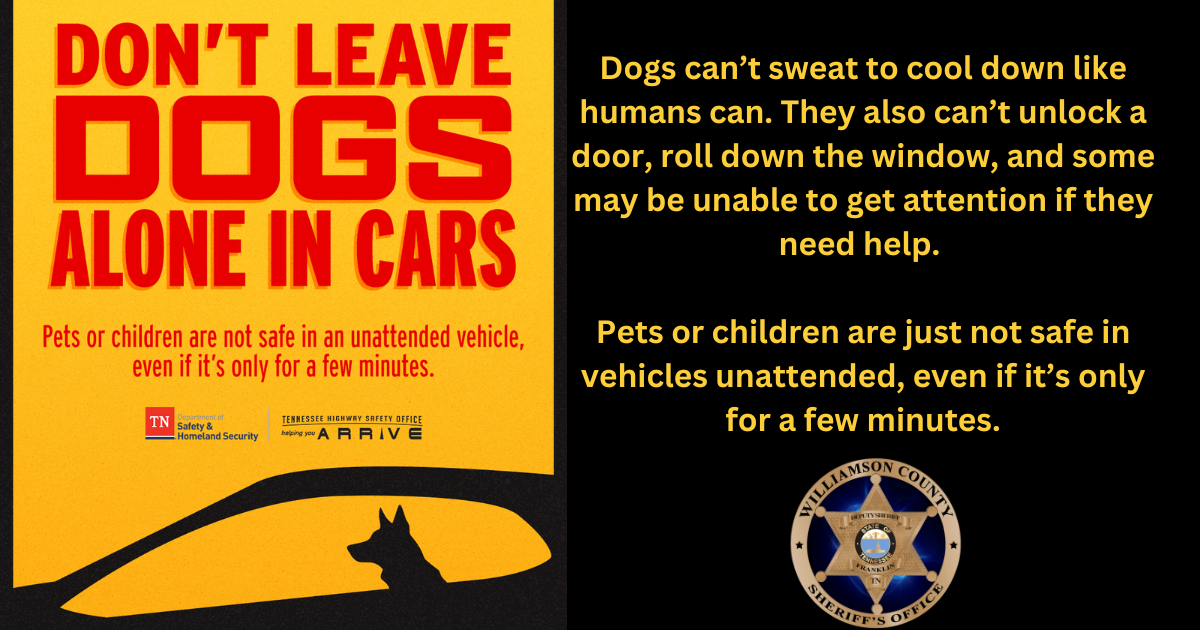 Yellow background with red letters that read "Don't Leave Dogs Alone In Cars" with a picture of a black silouette of a car with a dog inside.